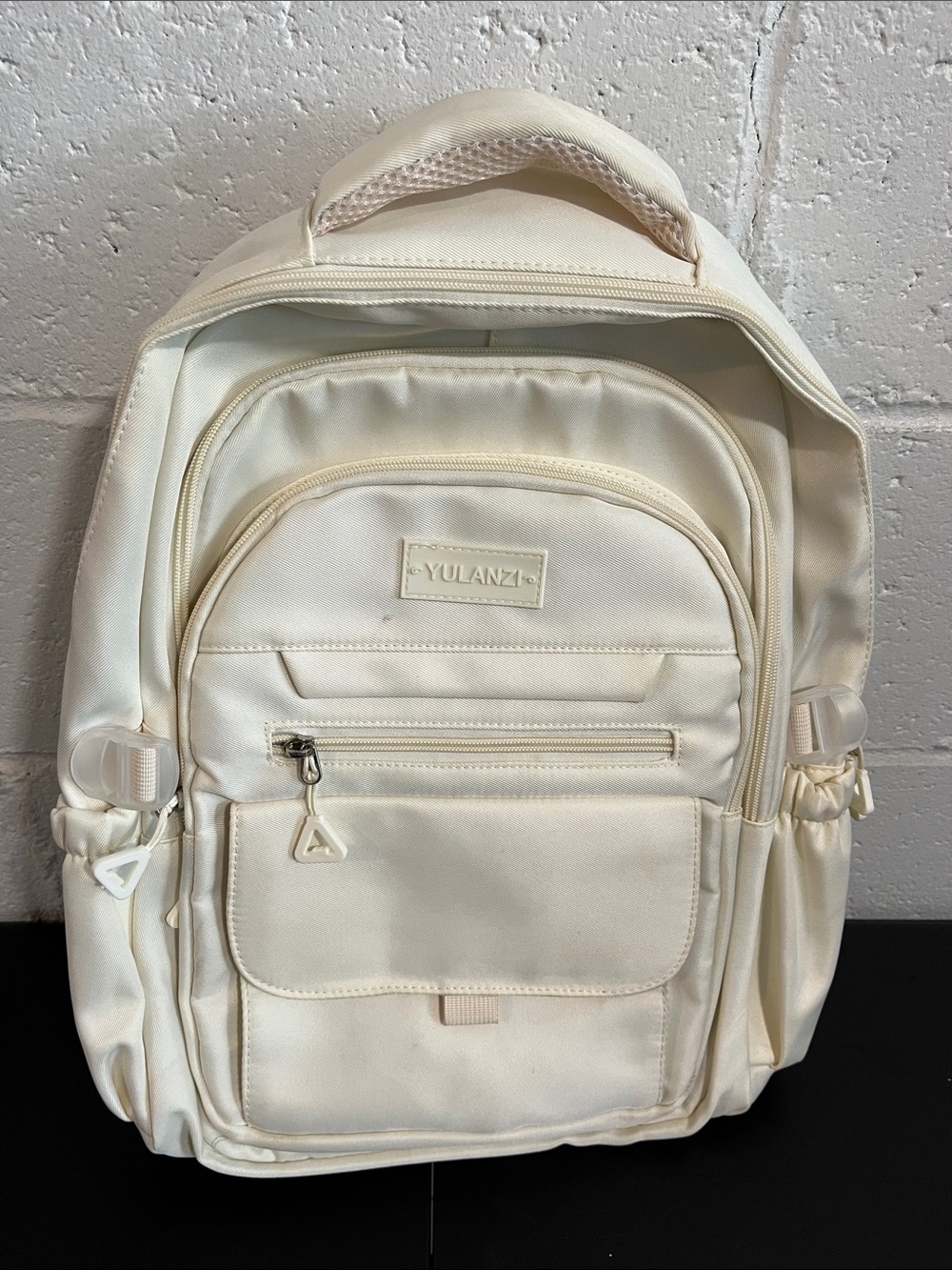 Yulanzi Laptop Backpack- see photos
